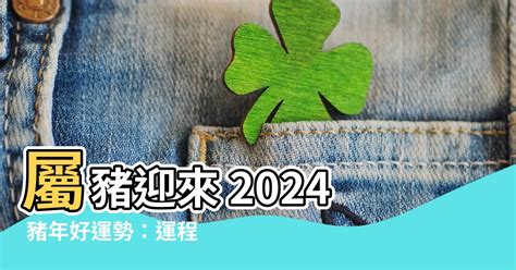 豬年運程2024|【2024豬年】生肖豬2024好運滾滾來！屬豬運勢、幸。